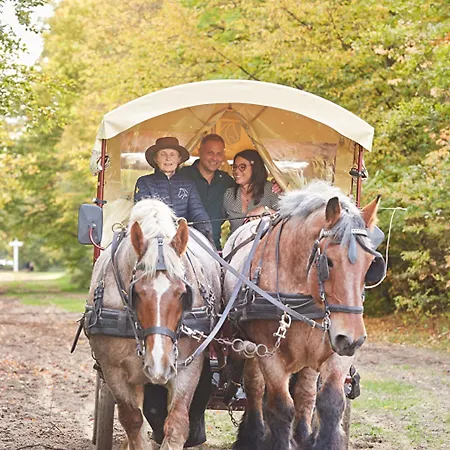 钟楼康贝尼酒店 酒店 3*